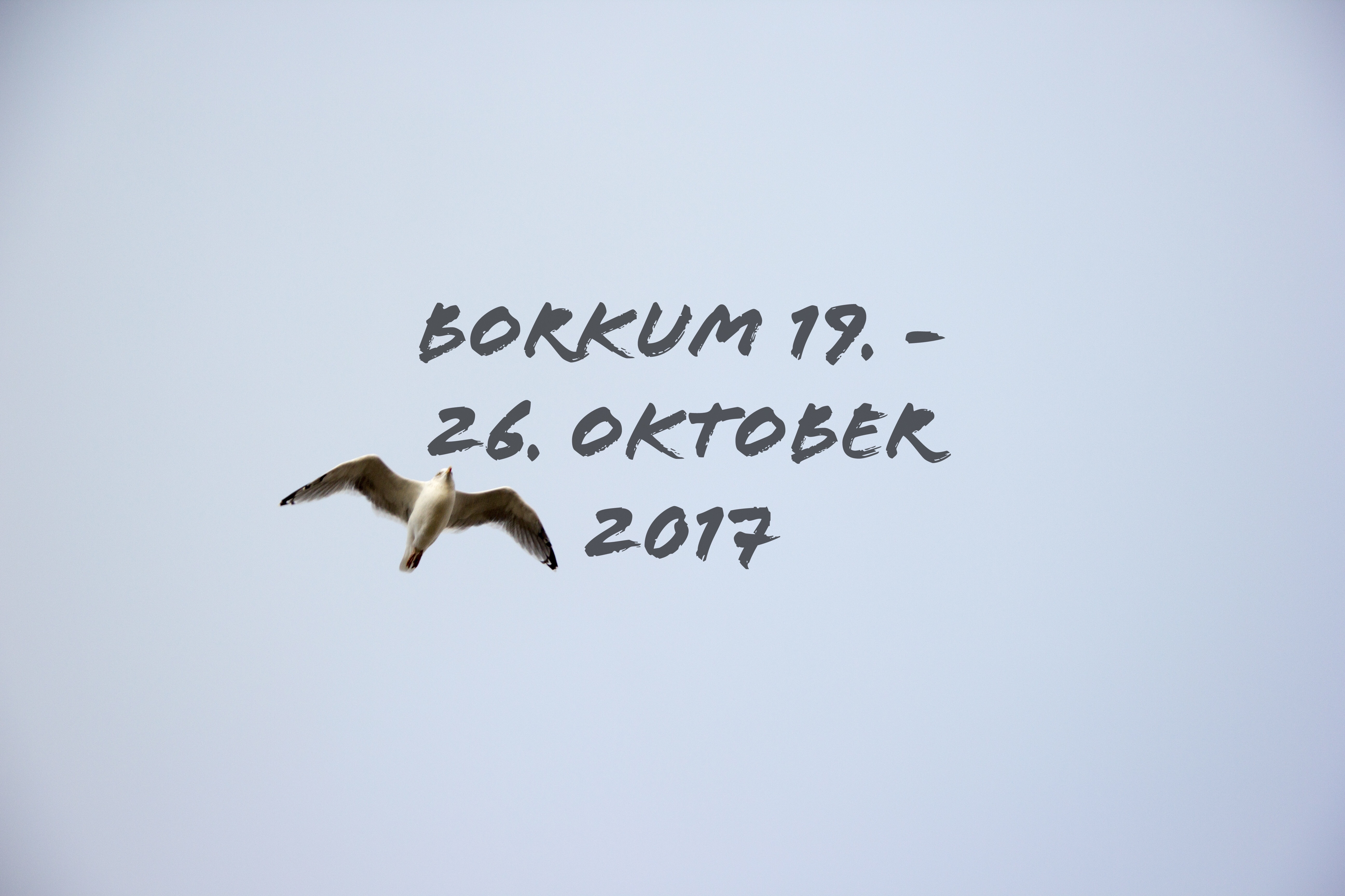 Borkum